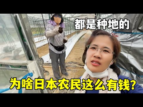 大乐透期号,专家推荐,质合分析揭,中国体彩,中国竞猜官网,中国体育竞猜平台,中国足球乐彩网