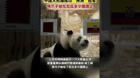 “勒沃库森创奇迹，德国超级杯首次夺冠”