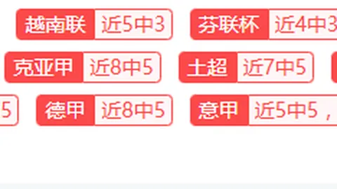 曼联幕后传奇：深度解析朗尼克上任前，初露锋芒但尚待磨砺的教练之谜