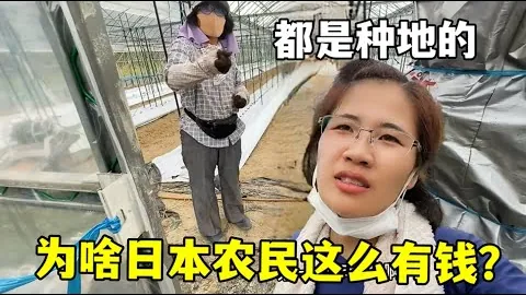 大乐透期号专家推荐：质合分析揭示前区十码邪门技巧